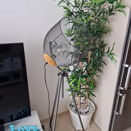 Sunset Rooftop Terrace Palm-mar