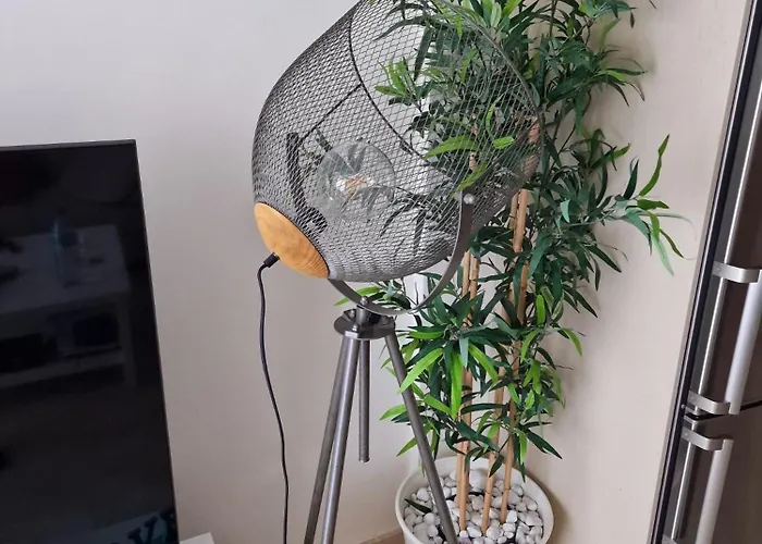 Sunset Rooftop Terrace Palm-mar